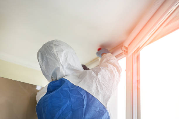 Why You Should Choose Our Mold Remediation Services in Jonesborough, TN